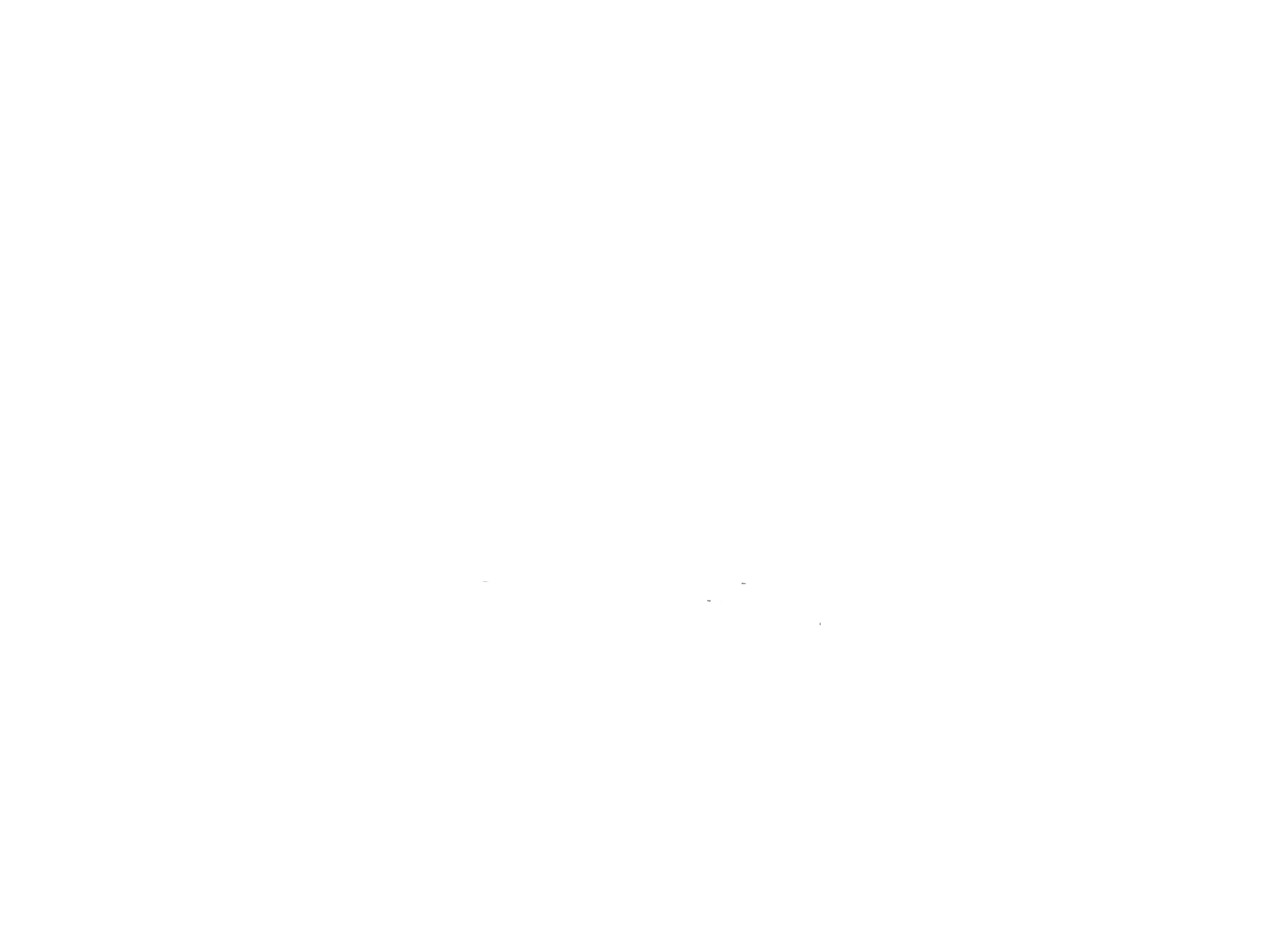 Tierfotografie Fokuspunkttier - professionelle Bilder von Pferd, Hund ...